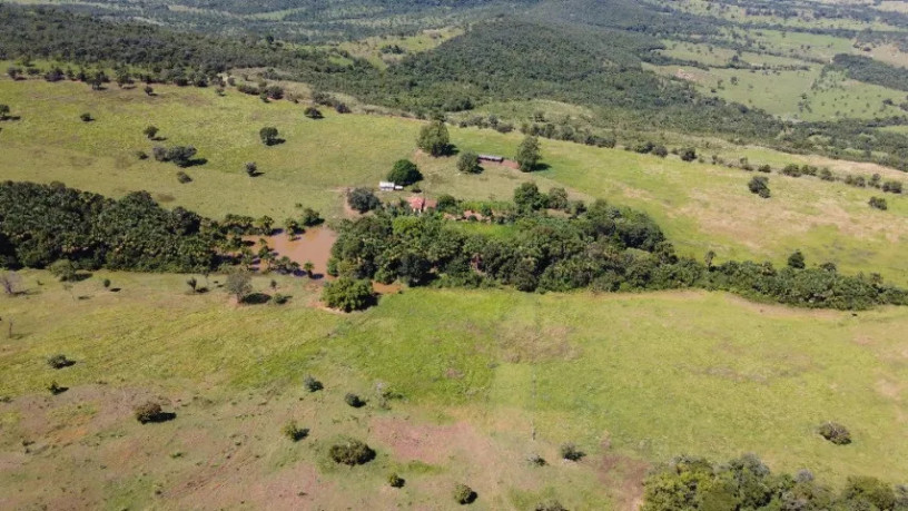 fazenda-de-100-alqueires-em-passos-mg-toda-formada-em-braquiaria-e-com-muita-agua-big-2